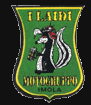 I LAIDI MOTOGRUPPO